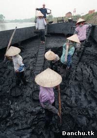 Báo cáo nêu rõ là chỉ chừng ba năm nữa Việt Nam phải nhập than
